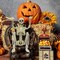 5 Packs Halloween Plastic Skeleton, 16" Posable Skeleton Decoration, Halloween Full Body Skeleton with Movable Joints, Realistic Pumpkin Skeletons for Halloween Haunted House Graveyard Props Decor